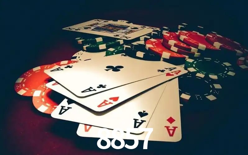 8857 Aplicativo - 8857 visual 1